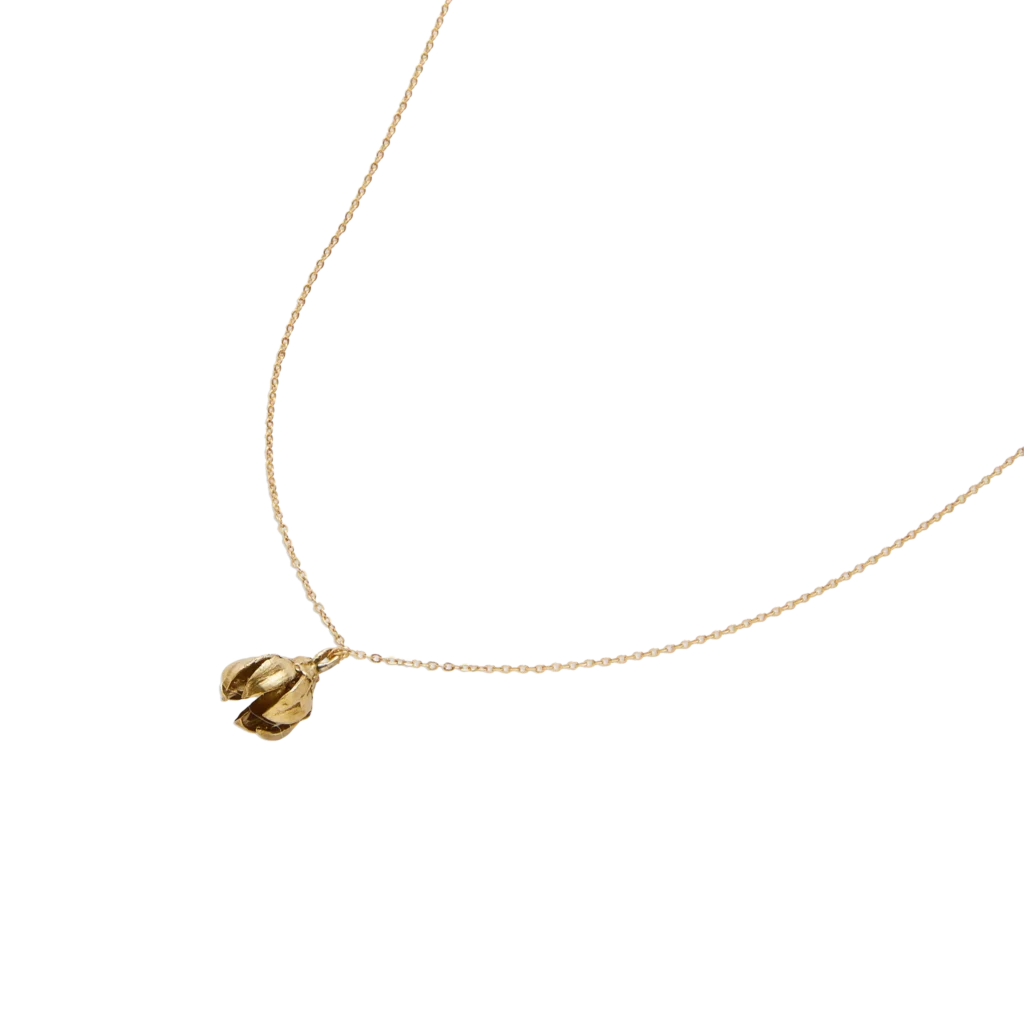 JaneNecklaceTransparent 1024x1024@2x